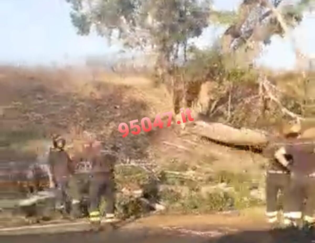 CADE ALBERO SULLA SIRACUSA-CATANIA, FILA IN DIREZIONE CATANIA - 