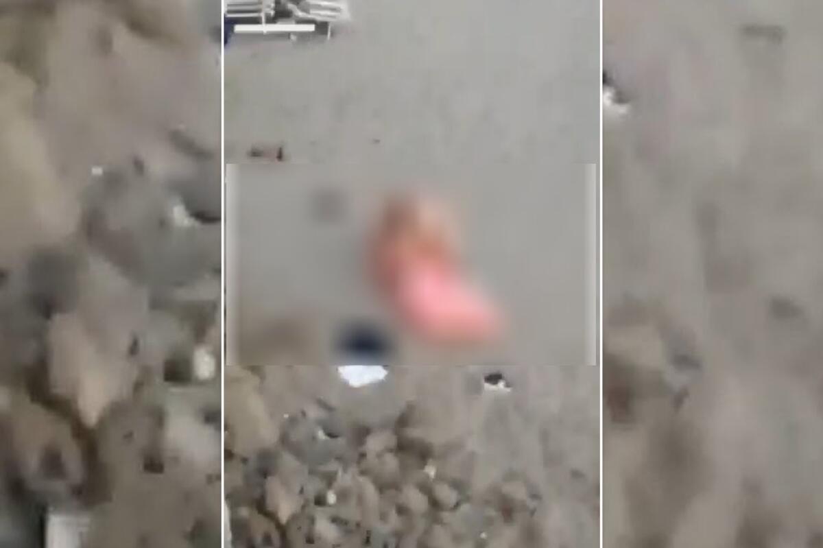 FANNO SESSO IN SPIAGGIA A CEFALÙ, SINDACO LI DENUNCEREMO - 