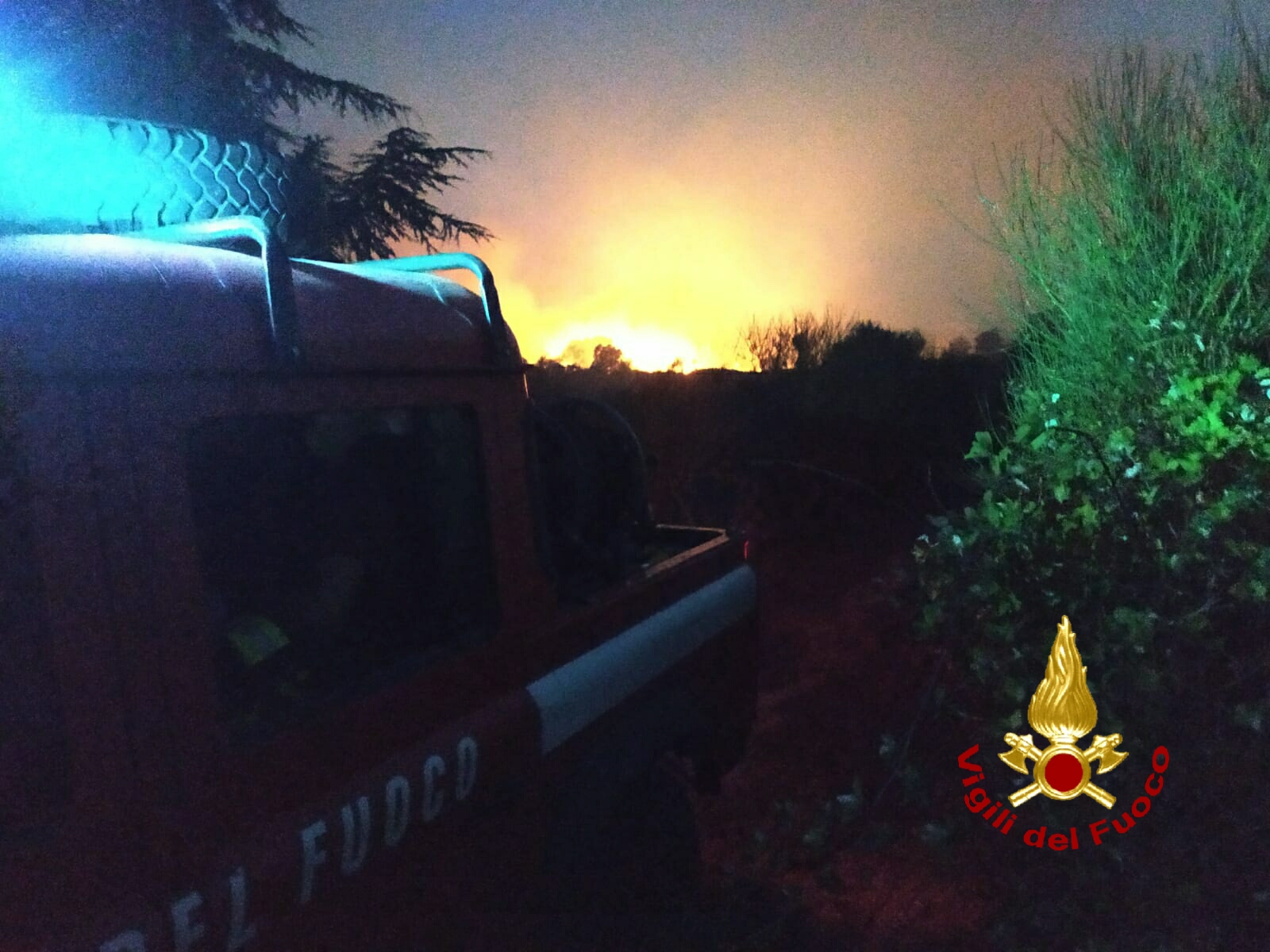 DISTRUTTA DAL FUOCO LA PINETA DI LINGUAGLOSSA, IL SINDACO: "ERGASTOLO PER I RESPONSABILI"