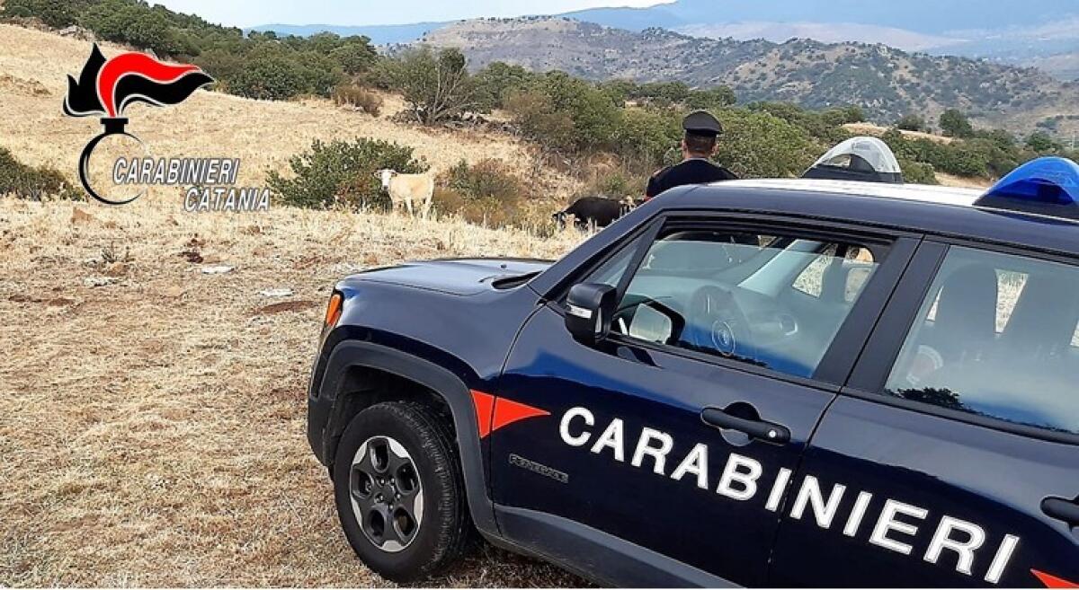 BRONTE . “QUI È TUTTO MIO!” E BASTONA IL LEGITTIMO PROPRIETARIO DEL FONDO: ARRESTATO - 