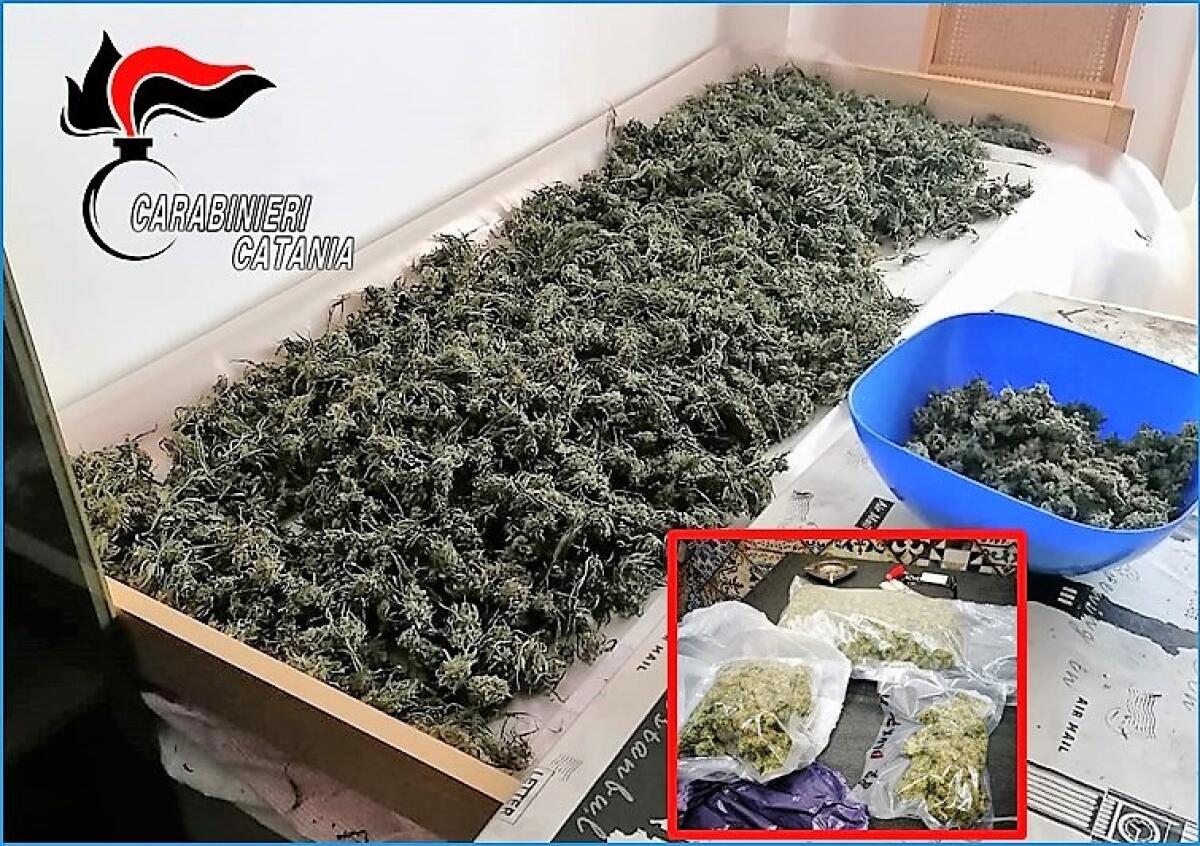 GIARDINI NAXOS. BLITZ ANTIDROGA: SEQUESTRATI 9 KG DI MARIJUANA - 