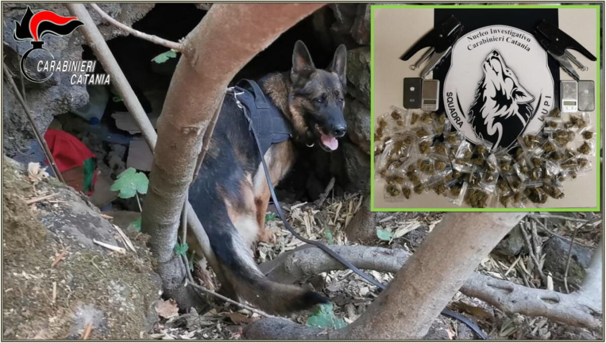 CATANIA. SCOPERTO  LABORATORIO PER LA DROGA NELLA GROTTA, ARRESTATO SPACCIATORE COL REDDITO - 