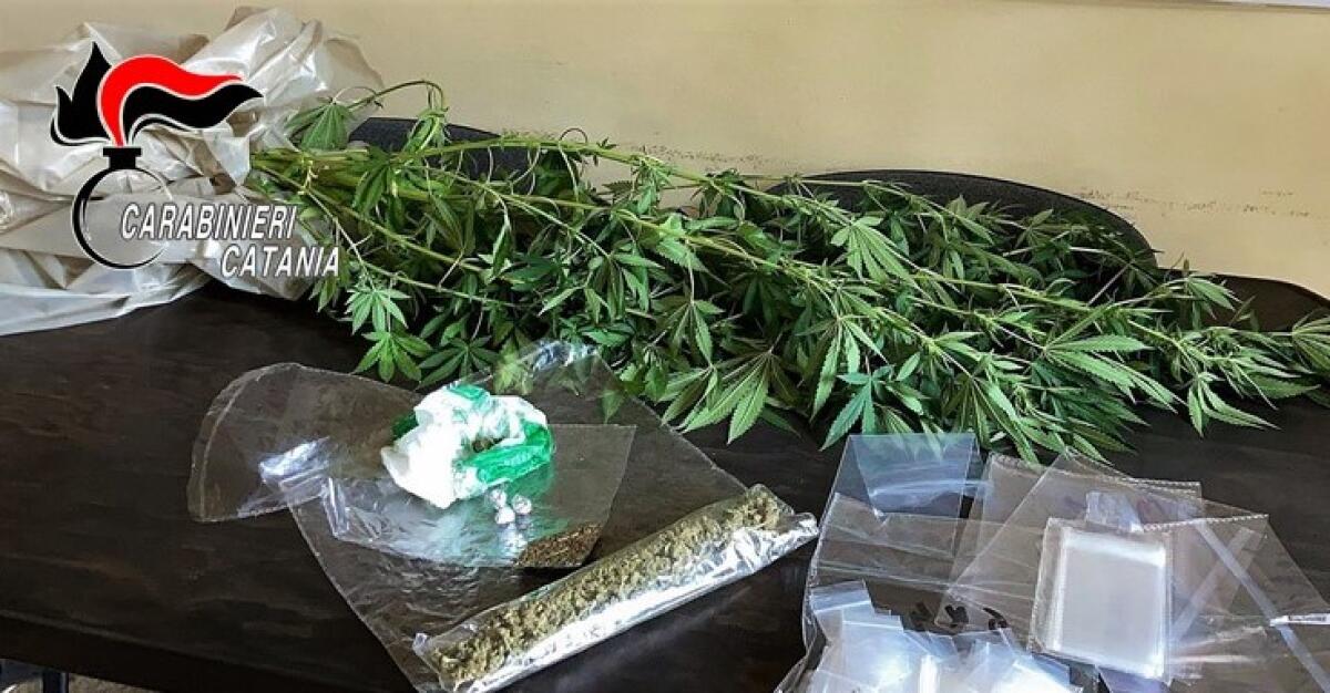 MASCALI. ALL’ARRIVO DEI CC GETTA LA DROGA NEL WATER: ARRESTATO - 