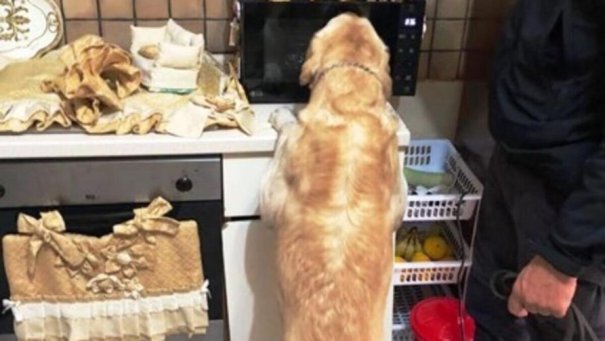 PATERNO'. LANCIA BUSTE CON LA DROGA DAL BALCONE ALLA VISTA DEI CC, ARRESTATO 26 ENNE - 