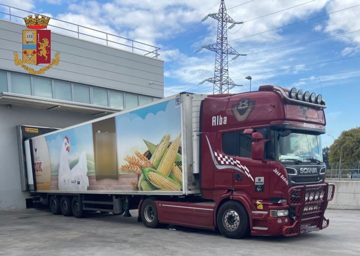 MANTOVA: SCOPERTI 280 CHILI DI DROGA NASCOSTI TRA 20 TONNELLATE DI CIPOLLE - 