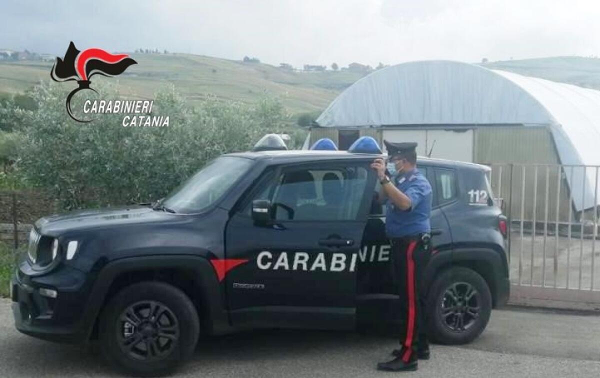 LAVORO NERO, CONTROLLI AD AZIENDE DI BRONTE E MALETTO - 