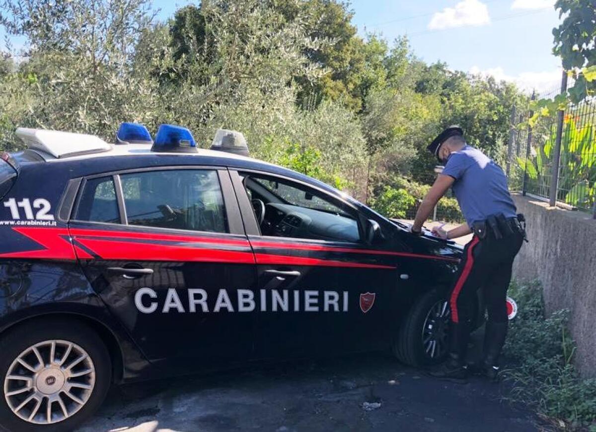 CALTAGIRONE. STAVANO DEPREDANDO UN’AZIENDA AGRICOLA: UN ARRESTATO E DUE RICERCATI - 