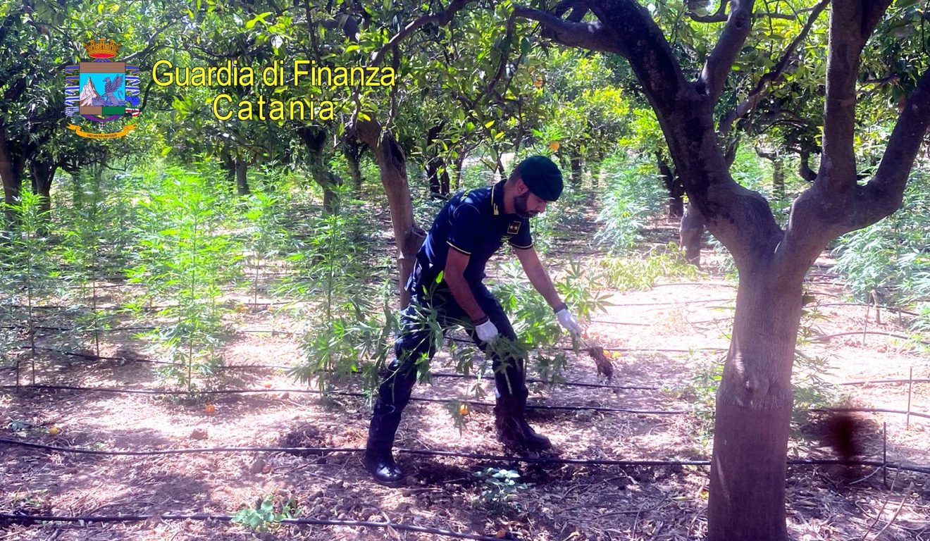 GDF ARRESTA LATITANTE ORIGINARIO DI RAGALNA