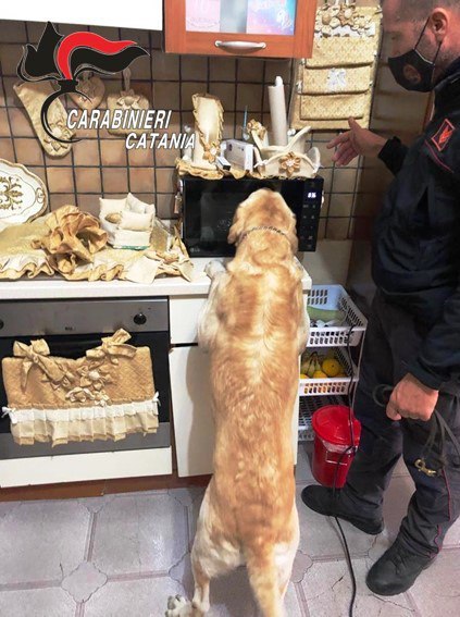 PATERNÒ, TENTA DI DISFARSI DELLA DROGA: BECCATO DAL CANE IVAN E ARRESTATO