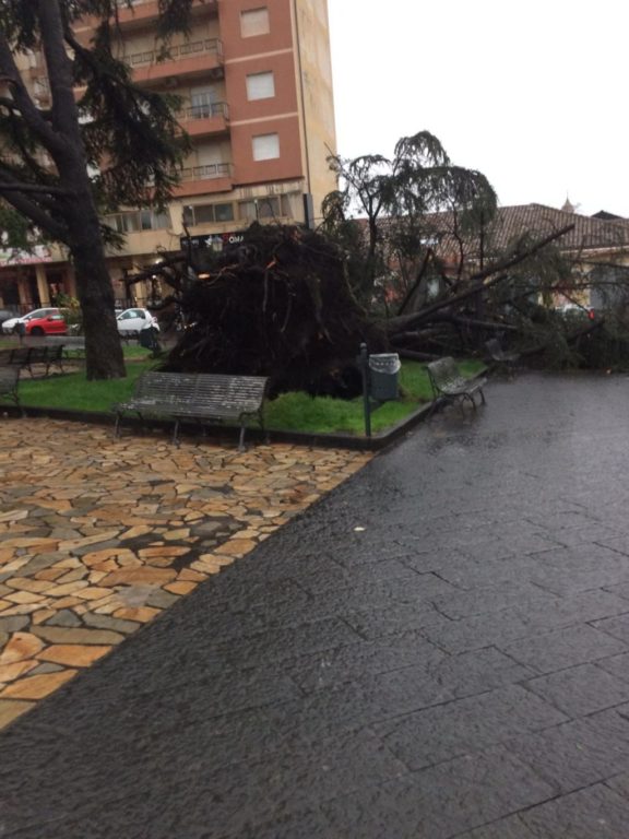 NUBIFRAGIO IN PROVINCIA DI CATANIA: A MISTERBIANCO CADE UN TRALICCIO CHE SFIORA UNA VILLETTA - LE FOTO