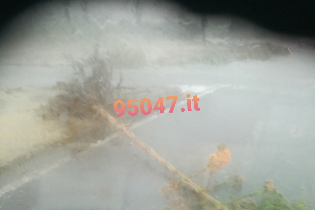 NUBIFRAGIO IN PROVINCIA DI CATANIA: A MISTERBIANCO CADE UN TRALICCIO CHE SFIORA UNA VILLETTA - LE FOTO