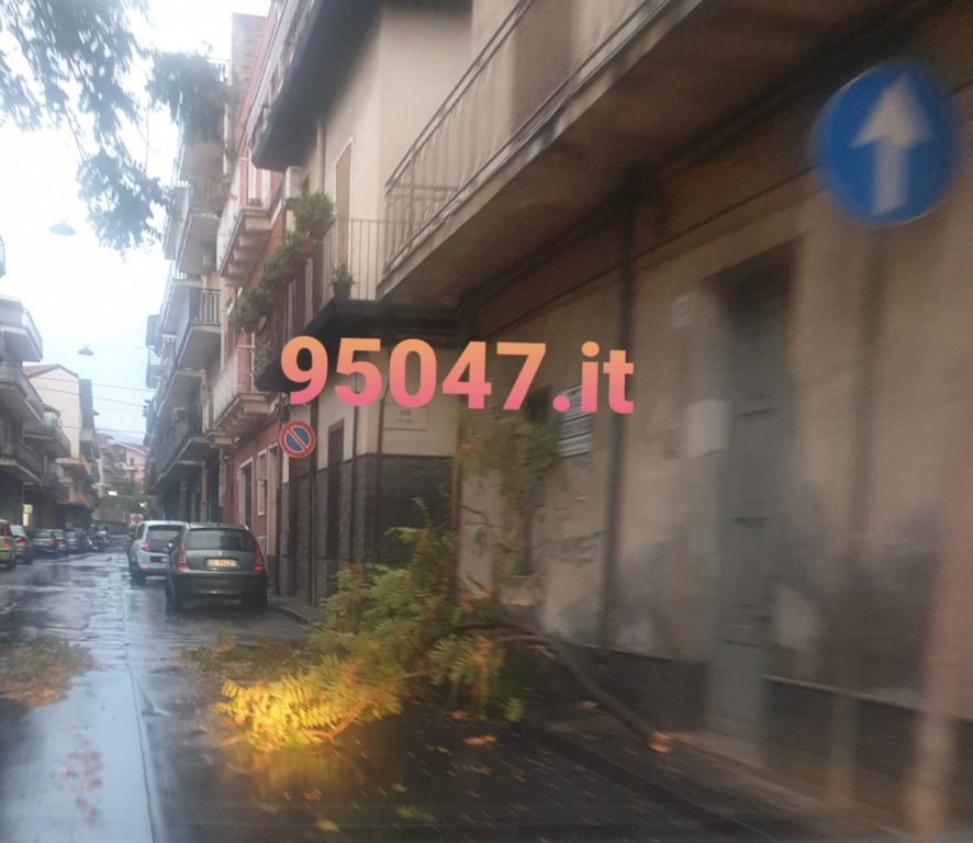 NUBIFRAGIO IN PROVINCIA DI CATANIA: A MISTERBIANCO CADE UN TRALICCIO CHE SFIORA UNA VILLETTA - LE FOTO