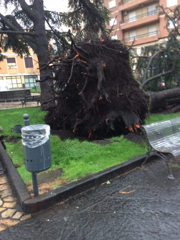 NUBIFRAGIO IN PROVINCIA DI CATANIA: A MISTERBIANCO CADE UN TRALICCIO CHE SFIORA UNA VILLETTA - LE FOTO