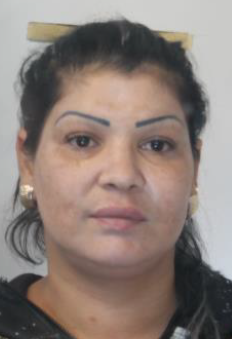 "SIETE SOLO SPAZZATURA", SGOMINATA BANDA DELLA PROSTITUZIONE, LE FOTO ED I NOMI