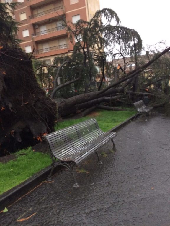 FORTE NUBIFRAGIO A CATANIA GRAVI DANNI E FERITI