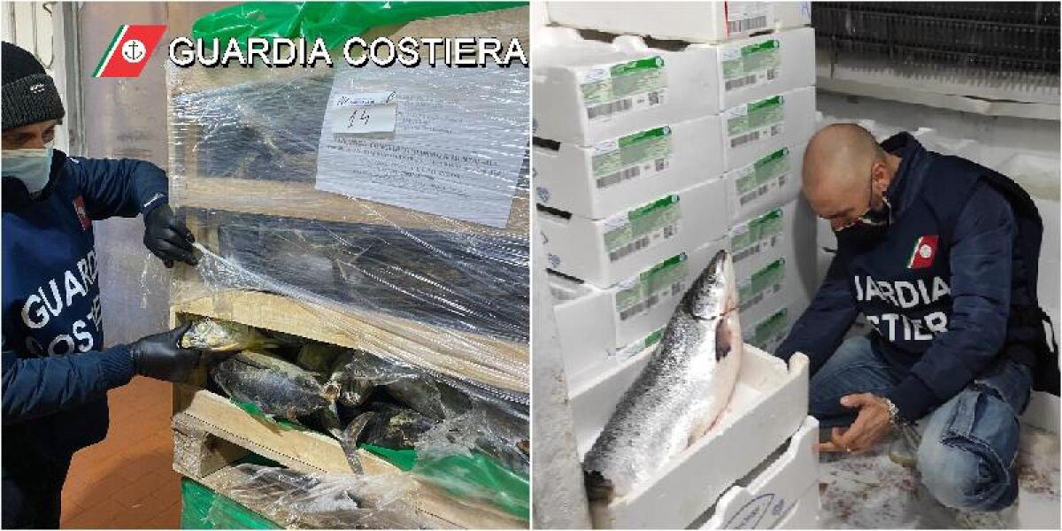 CATANIA,  SEQUESTRATE OLTRE SETTE TONNELLATE DI PESCE - 