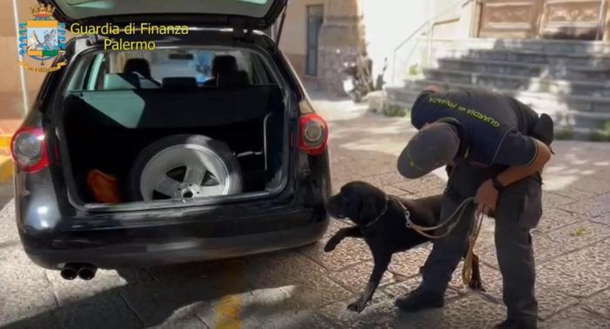 IN AUTO HA QUASI 8 CHILI DI COCAINA, ARRESTATO CORRIERE DELLA DROGA COL REDDITO DI CITTADINANZA - 