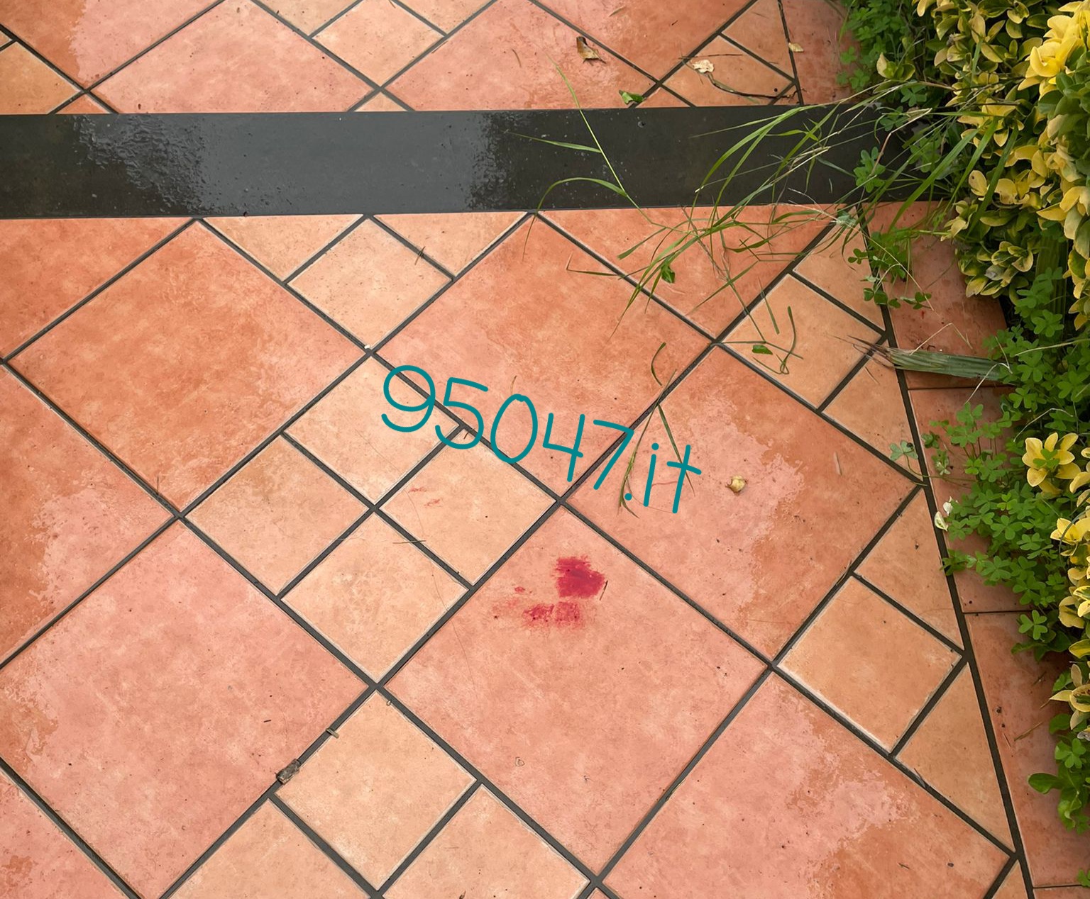 BELPASSO. DONNA ACCOLTELLATA DAL MARITO: NON È IN PERICOLO DI VITA