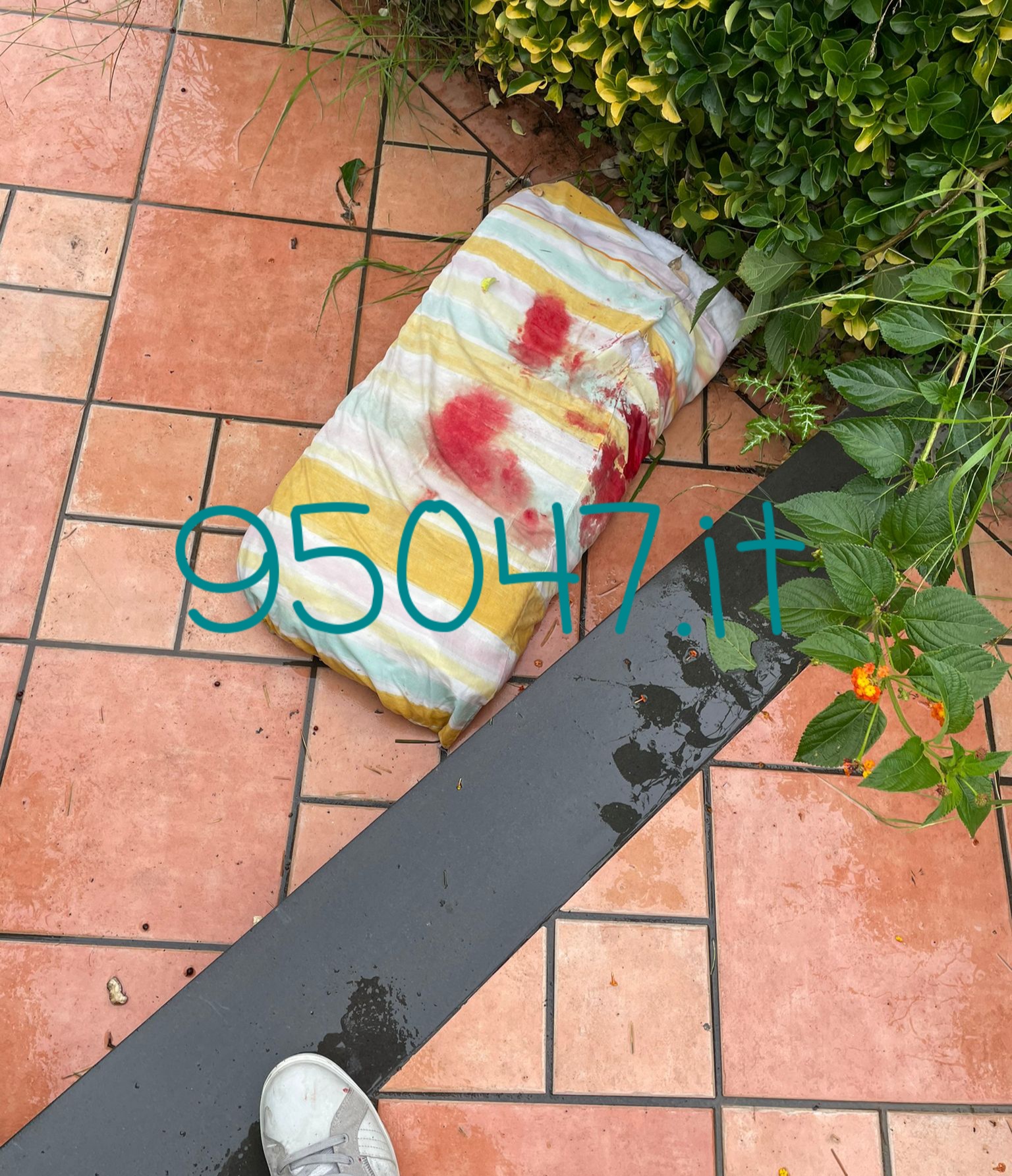 MARITO ACCOLTELLA LA MOGLIE E SI COSTITUISCE, GRAVE 54 ENNE