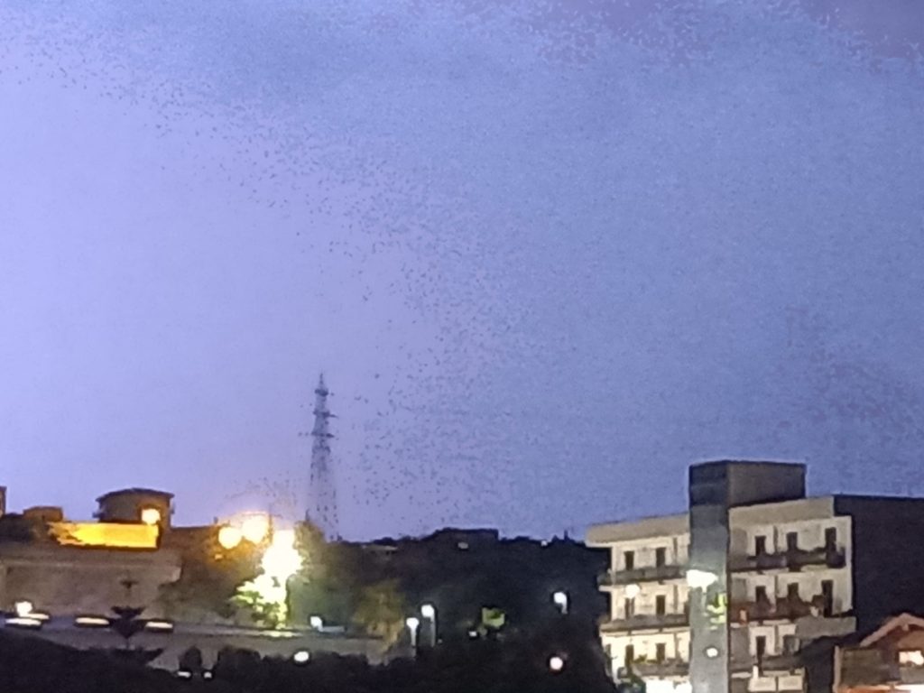 ATTENZIONE. SUPERSTRADA SS121 ALLAGATA A MISTERBIANCO, RALLENTAMENTI (VIDEO)