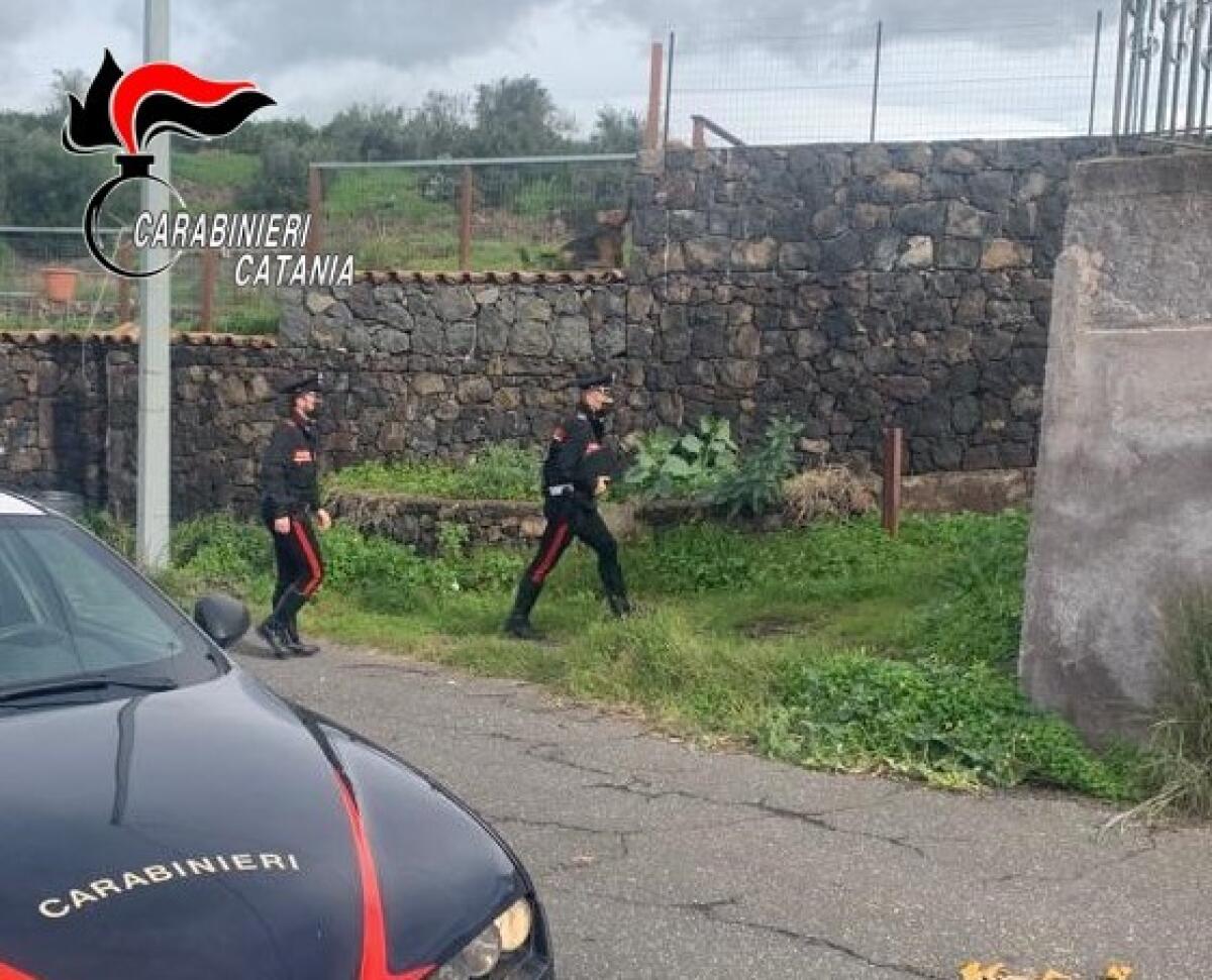 "TORNA A CASA O TI RUMPU TUTTA, MI DEVI DARE ALTRI 350 EURO" , ARRESTATO 65ENNE PATERNESE - 