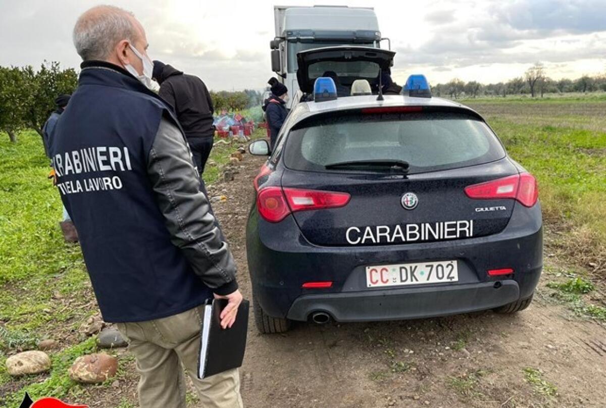 CONTROLLI CONTRO IL CAPORALATO NELLE CAMPAGNE PATERNESI, DENUNCIA E MULTA PER UN TITOLARE DI UNA DITTA - 