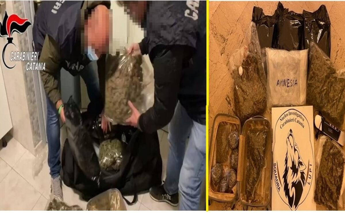 CATANIA: NASCONDEVA 8 KG DI DROGA IN CASA, ARRESTATA 36ENNE - 
