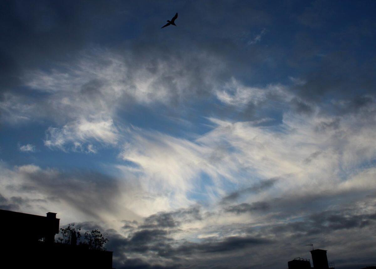 MALTEMPO, ANCORA PIOGGIA E VENTO: ALLERTA METEO GIALLA PER LA GIORNATA DI DOMANI - 