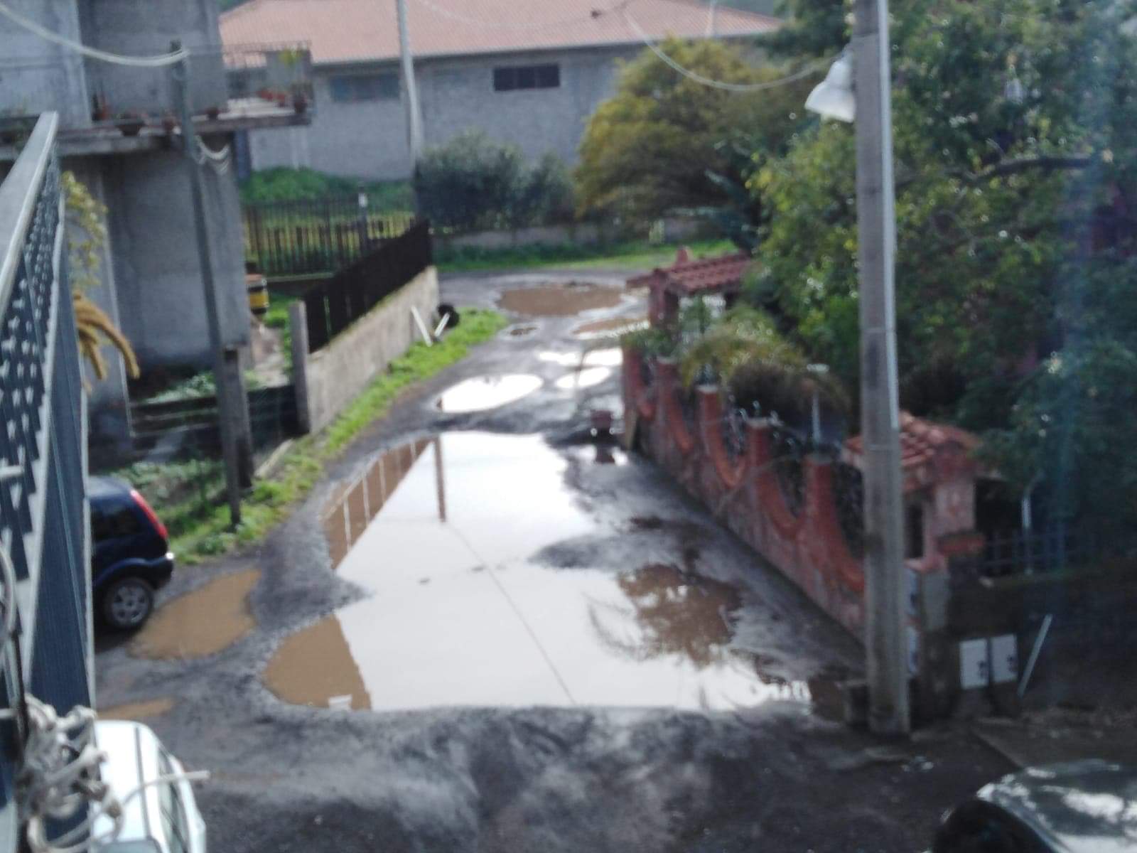 RICEVIAMO E PUBBLICHIAMO LETTERA APERTA   DEGLI ABITANTI DI VIA DELL'ABETE E DINTORNI