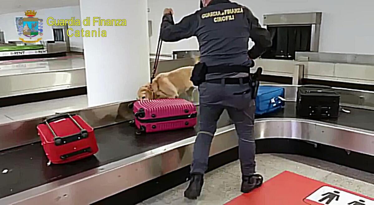 CATANIA: ARRESTATO CORRIERE OVULATORE PRESSO L’AEROPORTO DI FONTANAROSSA. SEQUESTRATO 1 KG DI EROINA ALLO STATO PURO - 