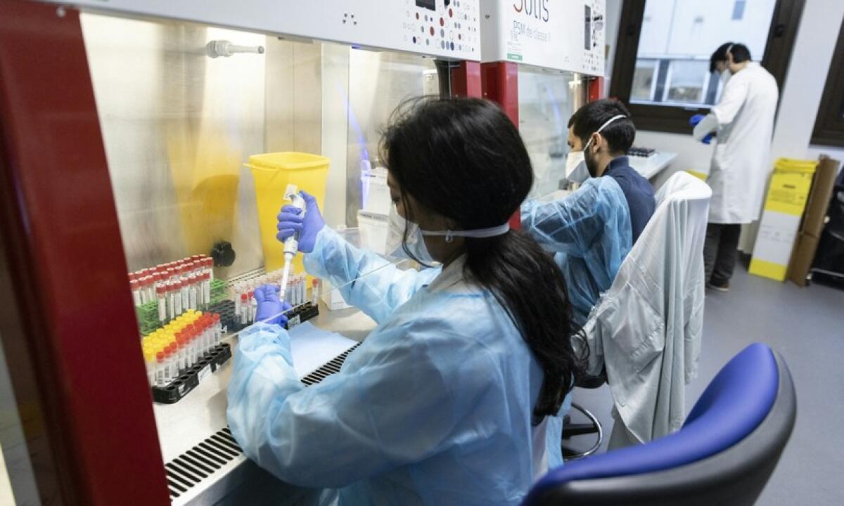 COVID, INDIVIDUATA A CIPRO LA VARIANTE "DELTACRON": COMBINAZIONE DI DELTA E OMICRON RILEVATI I PRIMI 25 CASI A CIPRO - 