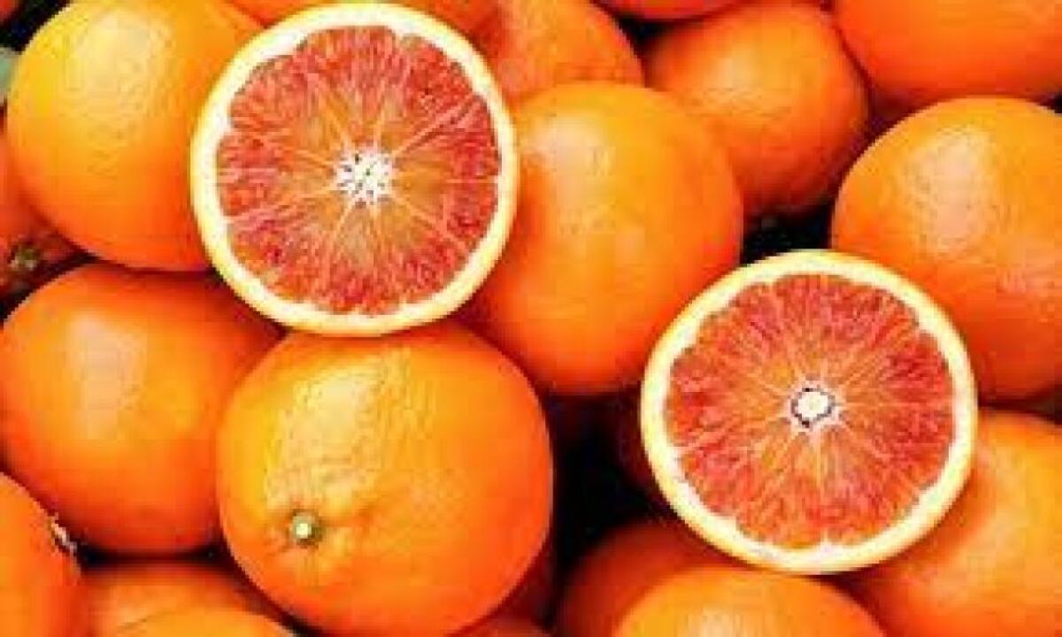 COLDIRETTI SICILIA LANCIA L'ALLARME: "FURTI DI ARANCE PER MIGLIAIA DI EURO" - 