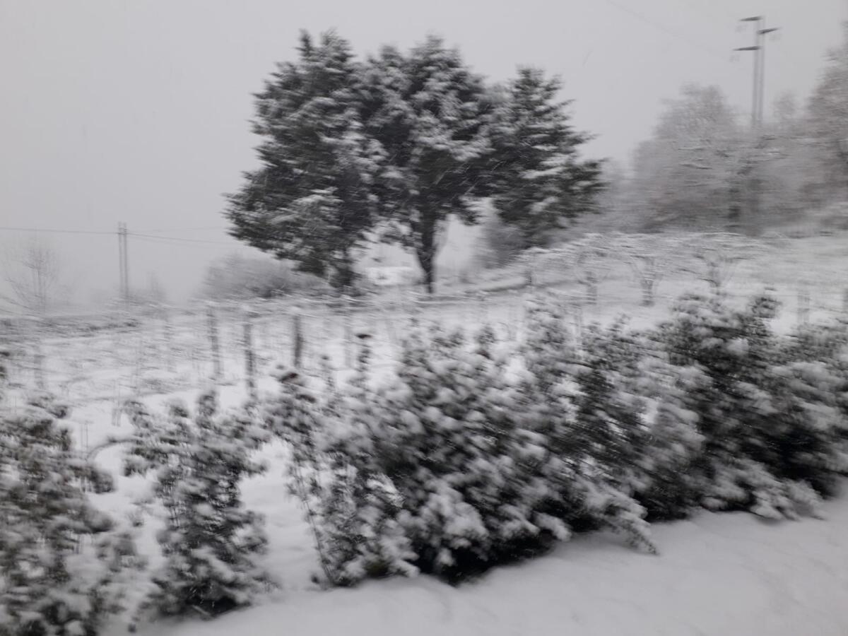 METEO:  VENTI FORTI E NEVICATE AL DI SOPRA DEI 600 METRI SULLE AREE CENTRO-SETTENTRIONALI DELLA SICILIA - 