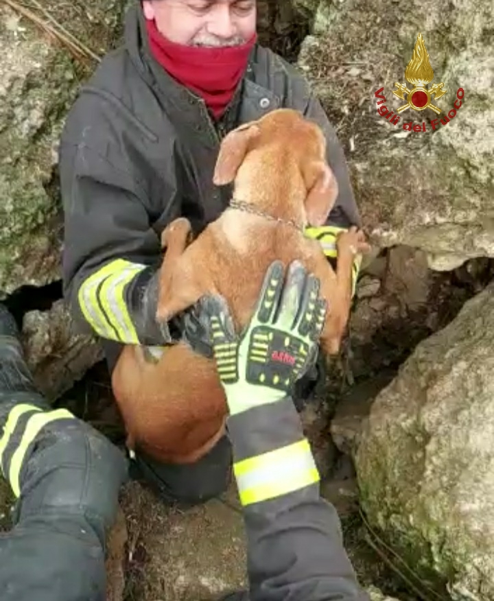 PALAGONIA: CIRNECO INCASTRATO TRA ROCCE, SALVATO DA VIGILI DEL FUOCO
