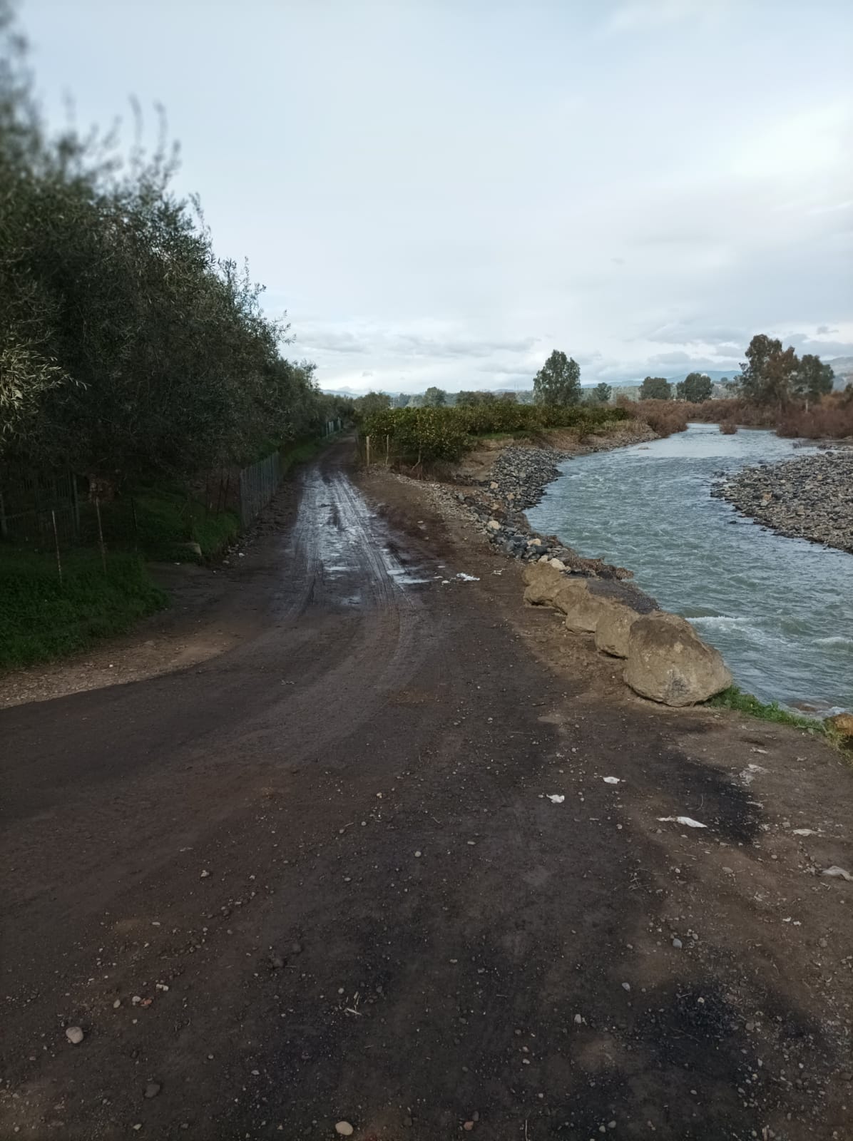 NOTA PRESIDIO PARTECIPATIVO DEL PATTO DI FIUME SIMETO SU MANUFATTO RINVENUTO PRESSO PONTE PIETRALUNGA