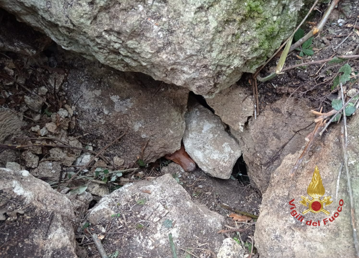 PALAGONIA: CIRNECO INCASTRATO TRA ROCCE, SALVATO DA VIGILI DEL FUOCO