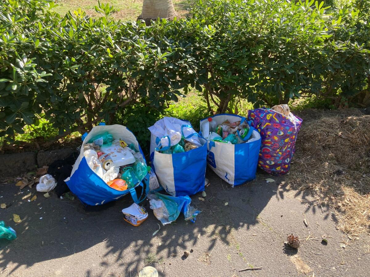 VILLA COMUNALE DI PATERNO' , TRA SPORCIZIA E DEGRADO. UNA NOSTRA LETTRICE: "ECCO LO SCEMPIO, NON POSSIAMO FARE FINTA DI NIENTE!! - 