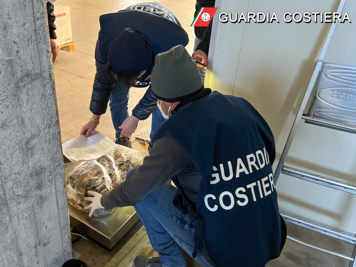 SEQUESTRATI PRESSO UN  PRODUTTORE DI CONSERVE IN PROVINCIA DI CATANIA OLTRE 2500 KG DI TONNO ROSSO PRIVO DELLA DOCUMENTAZIONE - 