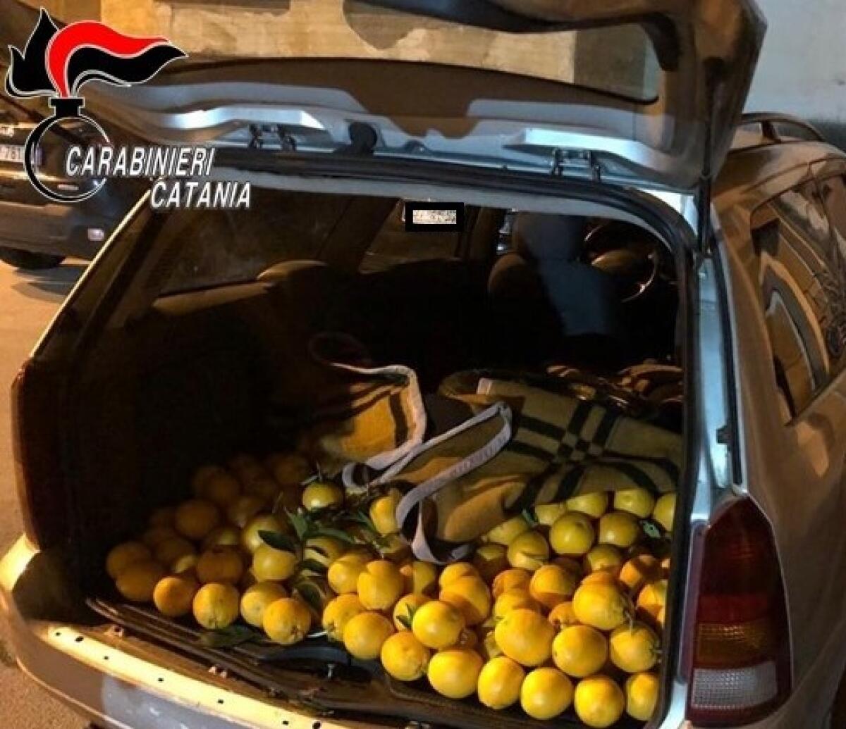 BLOCCATI A SFERRO CON UN’AUTO CARICA DI ARANCE RUBATE ,  DENUNCIATI - 