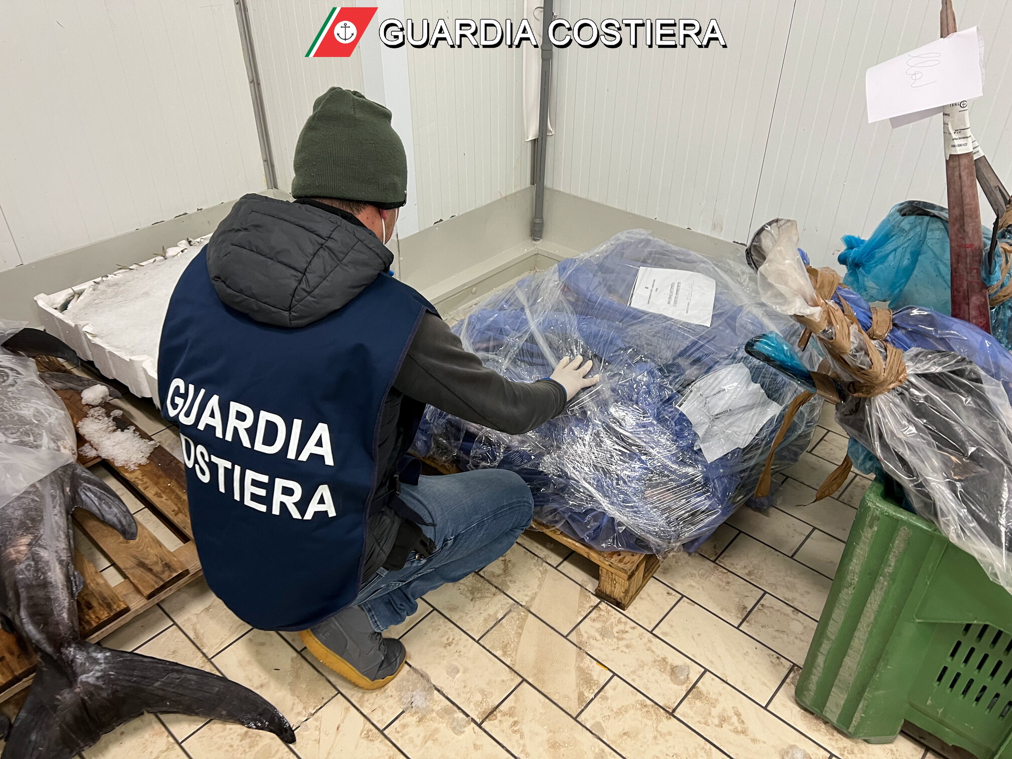 SEQUESTRATI PRESSO UN  PRODUTTORE DI CONSERVE IN PROVINCIA DI CATANIA OLTRE 2500 KG DI TONNO ROSSO PRIVO DELLA DOCUMENTAZIONE