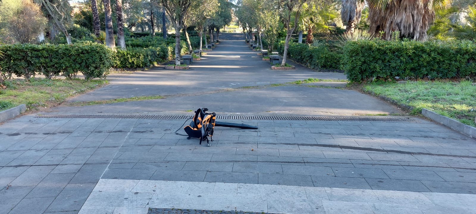 NOTA DELLA DUSTY SULL' ARTICOLO PUBBLICATO DOMENICA: SIAMO INTERVENUTI   E RIPRISTINATO DECORO