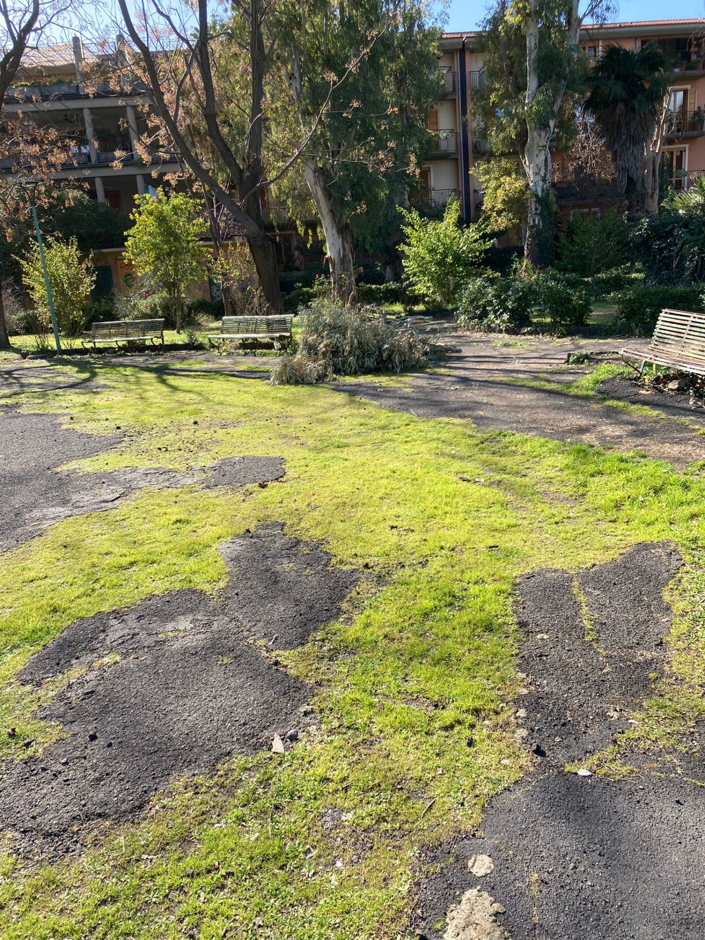 VILLA COMUNALE DI PATERNO' , TRA SPORCIZIA E DEGRADO. UNA NOSTRA LETTRICE: "ECCO LO SCEMPIO, NON POSSIAMO FARE FINTA DI NIENTE!!