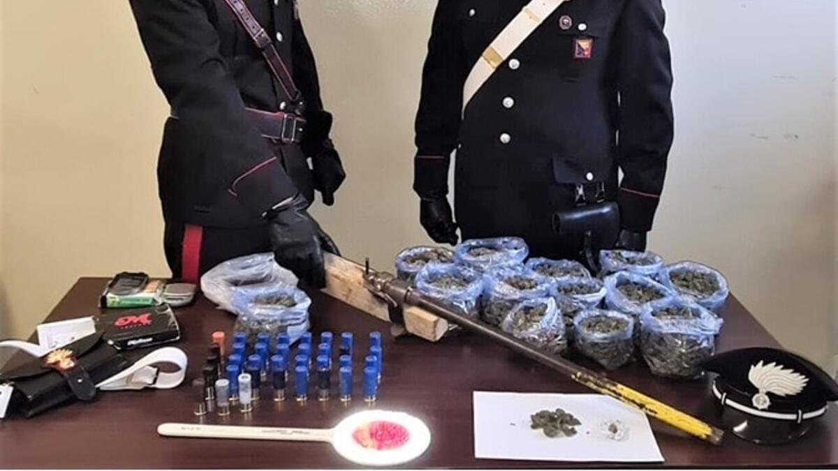 CASTEL DI IUDICA: AVEVA TRASFORMATO L’OVILE IN “DEPOSITO” DI MARIJUANA: ARRESTATO 34ENNE - 