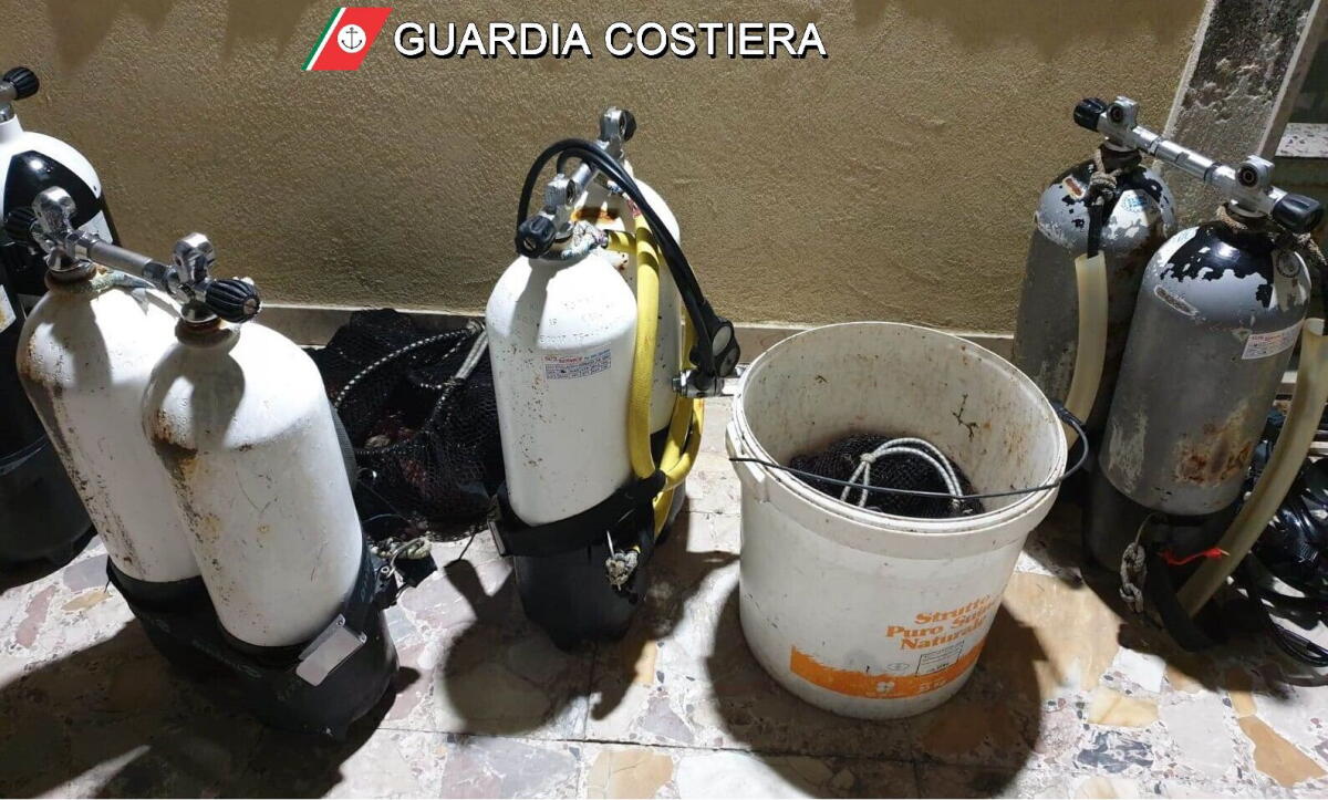 RICCI E OCCHI DI BUE PESCATI ILLEGALMENTE DA SUB NELL'ACESE: GUARDIA COSTIERA CATANIA SANZIONA QUATTRO SUB - 