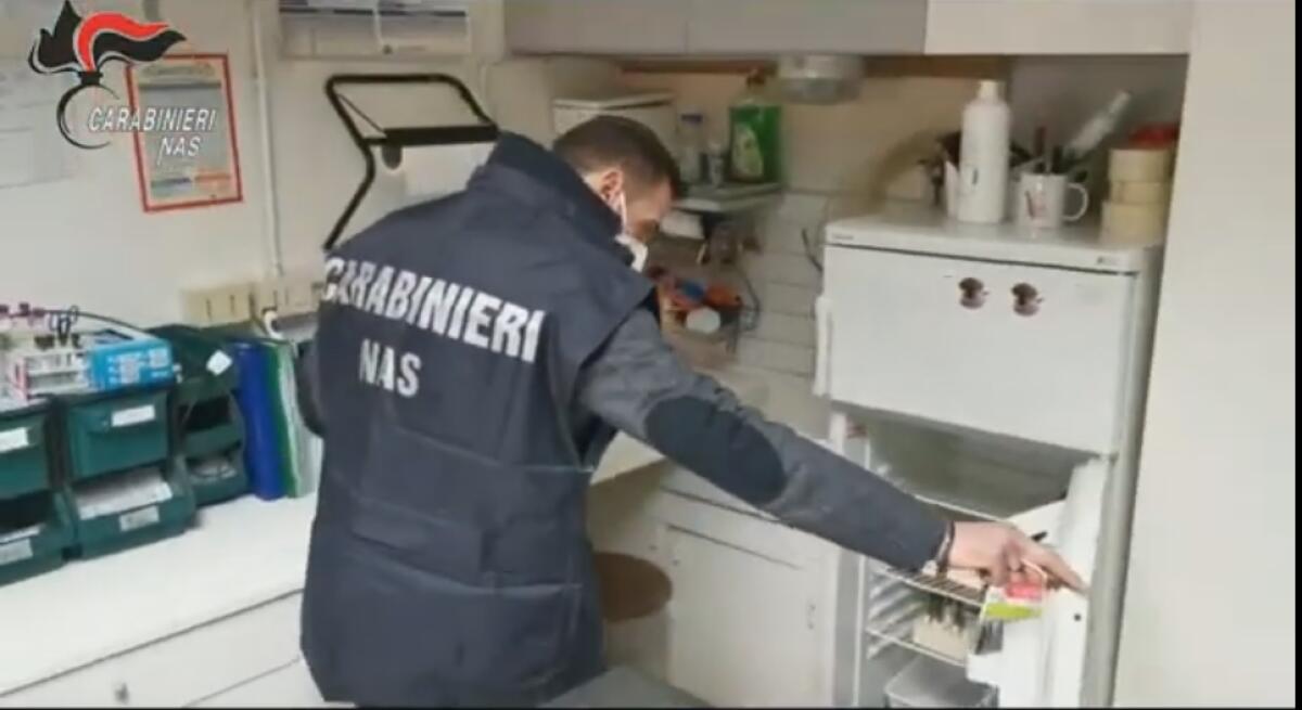 CA­RA­BI­NIE­RI NAS A TUTELA DEGLI ANIMALI DOMESTICI, ATTIVITÀ SOSPESE PURE A CATANIA - 