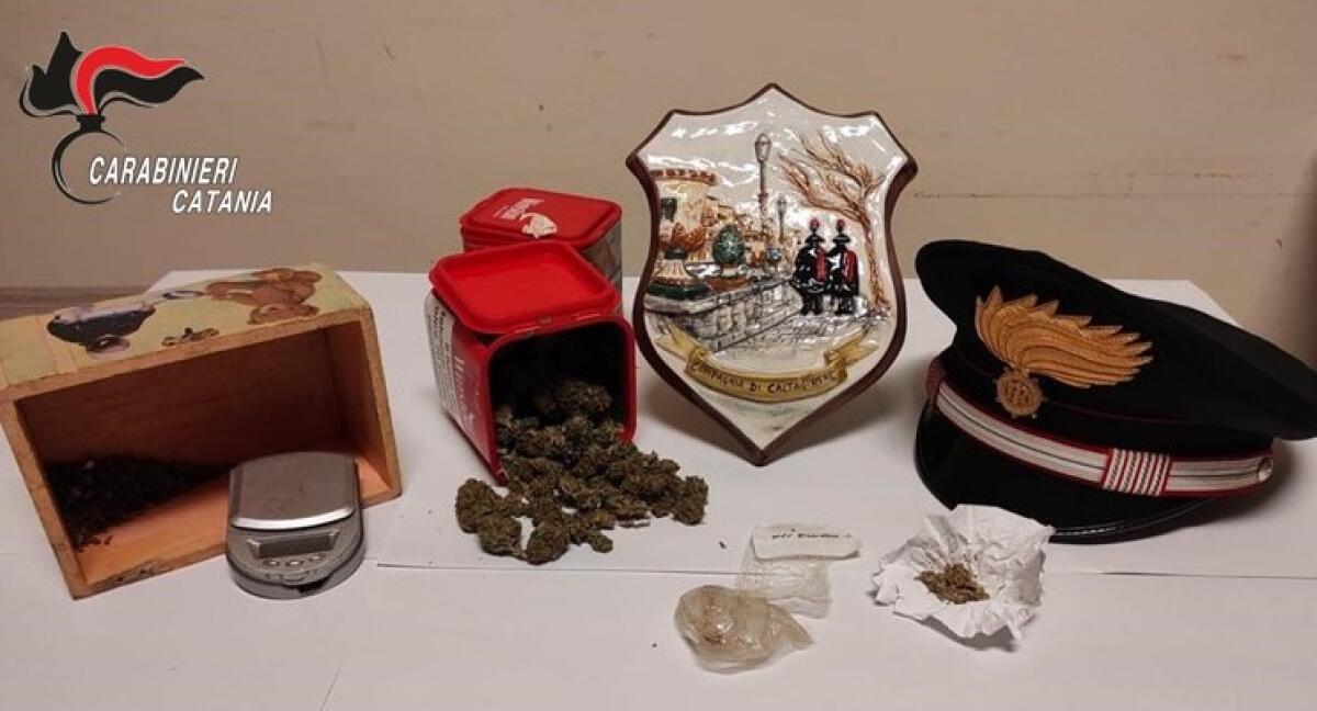 CALTAGIRONE: MARIJUANA NELLA CUCINA DELL’AZIENDA: DENUNCIATO - 