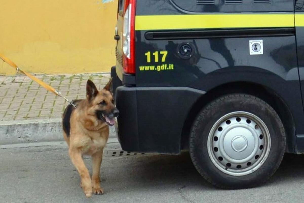 TRASPORTAVA 3 CHILI DI HASHISH A BORDO DI UN PULLMAN A LUNGA PERCORRENZA: ARRESTATO UN GIOVANE SICILIANO - 