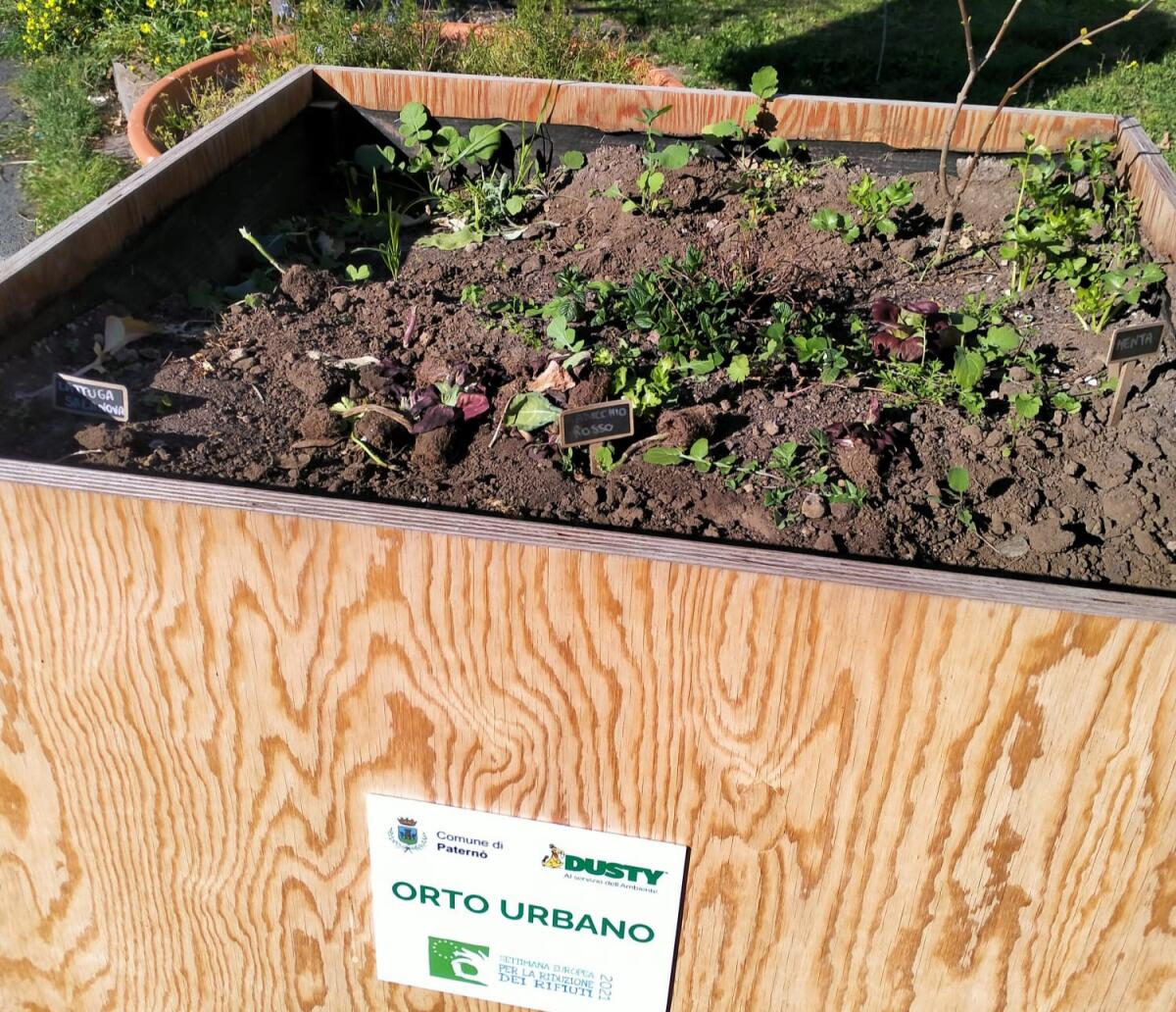 PATERNO'  VANDALI DANNEGGIANO LE PIANTINE ALLA VILLA - 