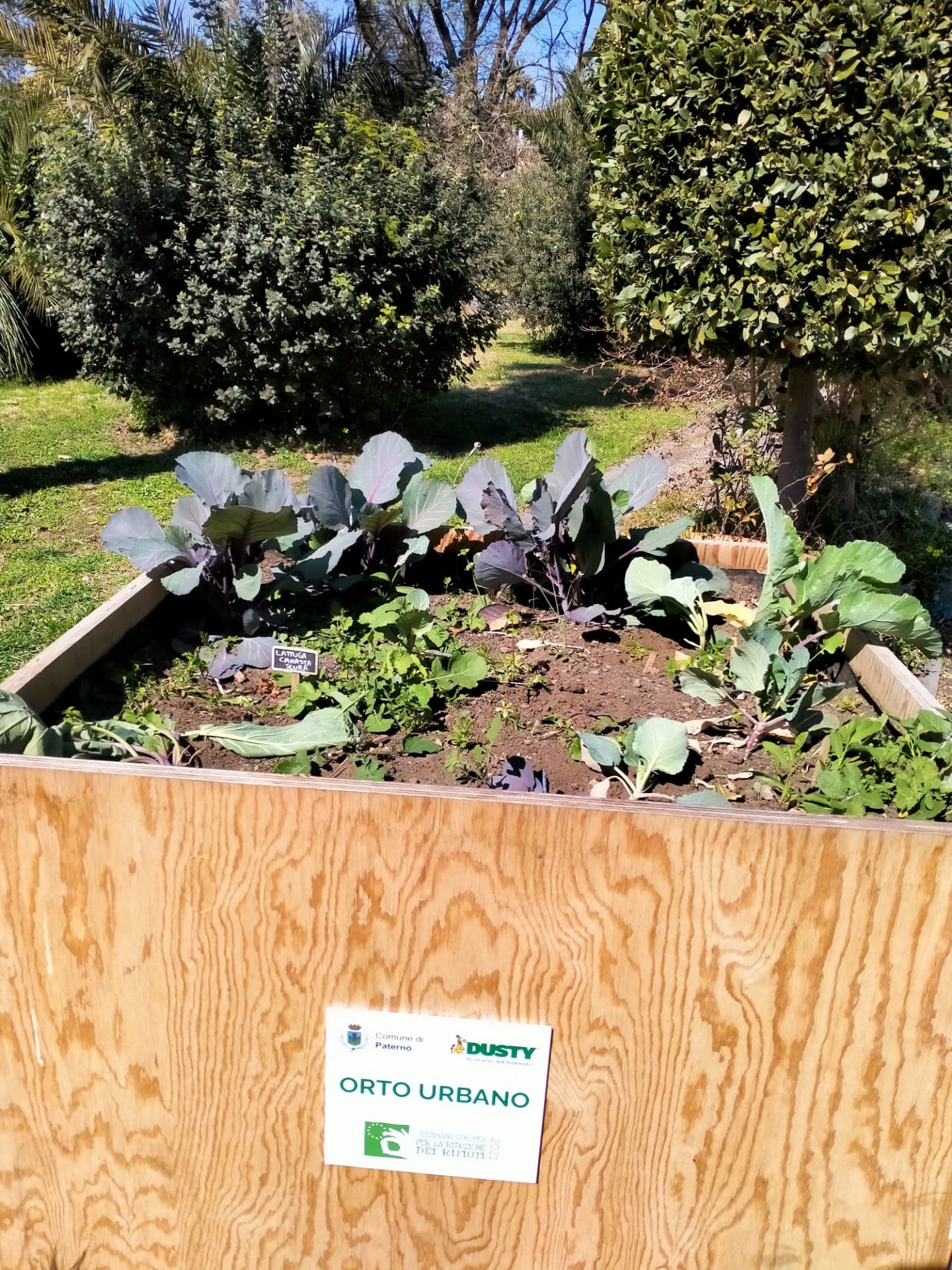 PATERNO'  VANDALI DANNEGGIANO LE PIANTINE ALLA VILLA