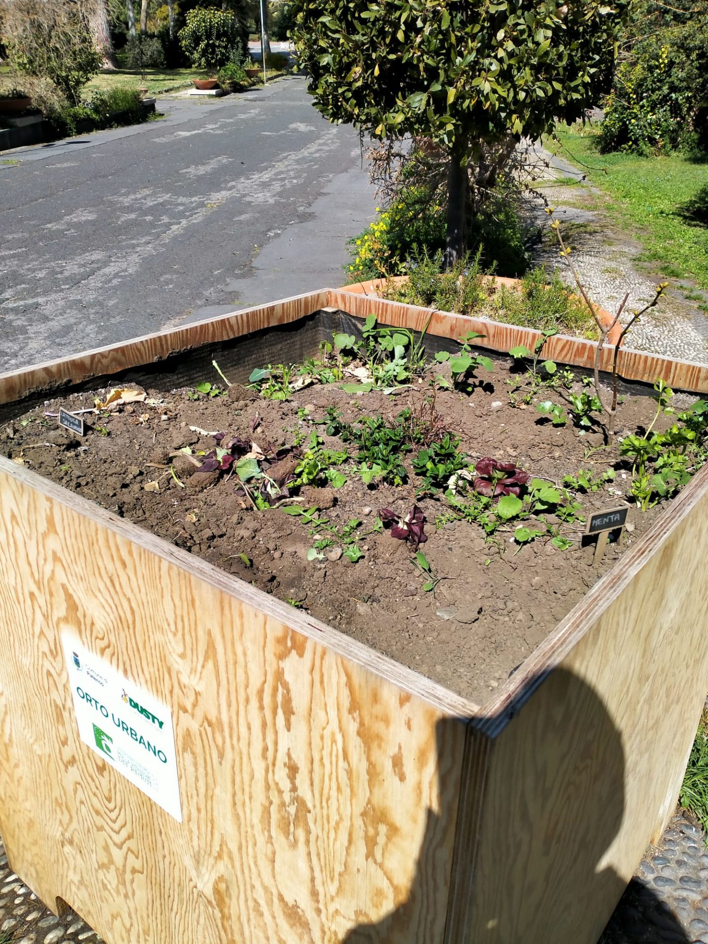 PATERNO'  VANDALI DANNEGGIANO LE PIANTINE ALLA VILLA